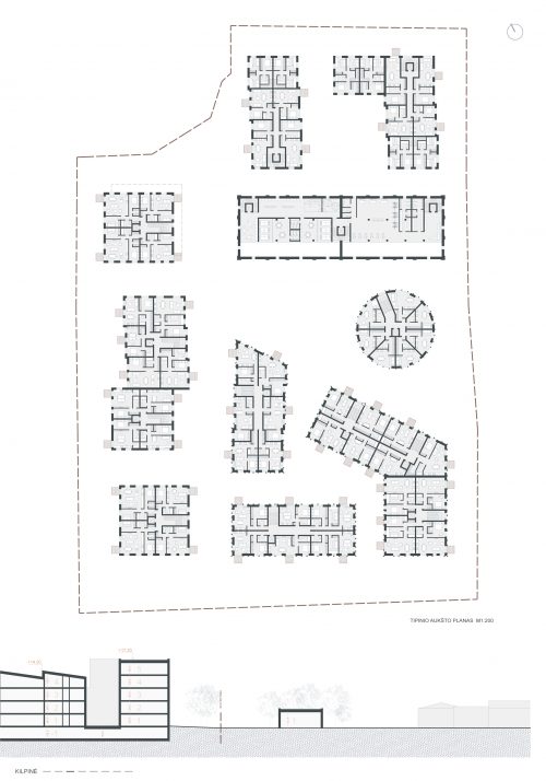 Kilpinė-03