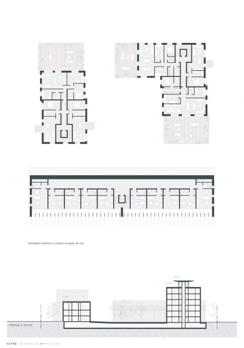 Kilpinė-05