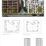 SAVa_7